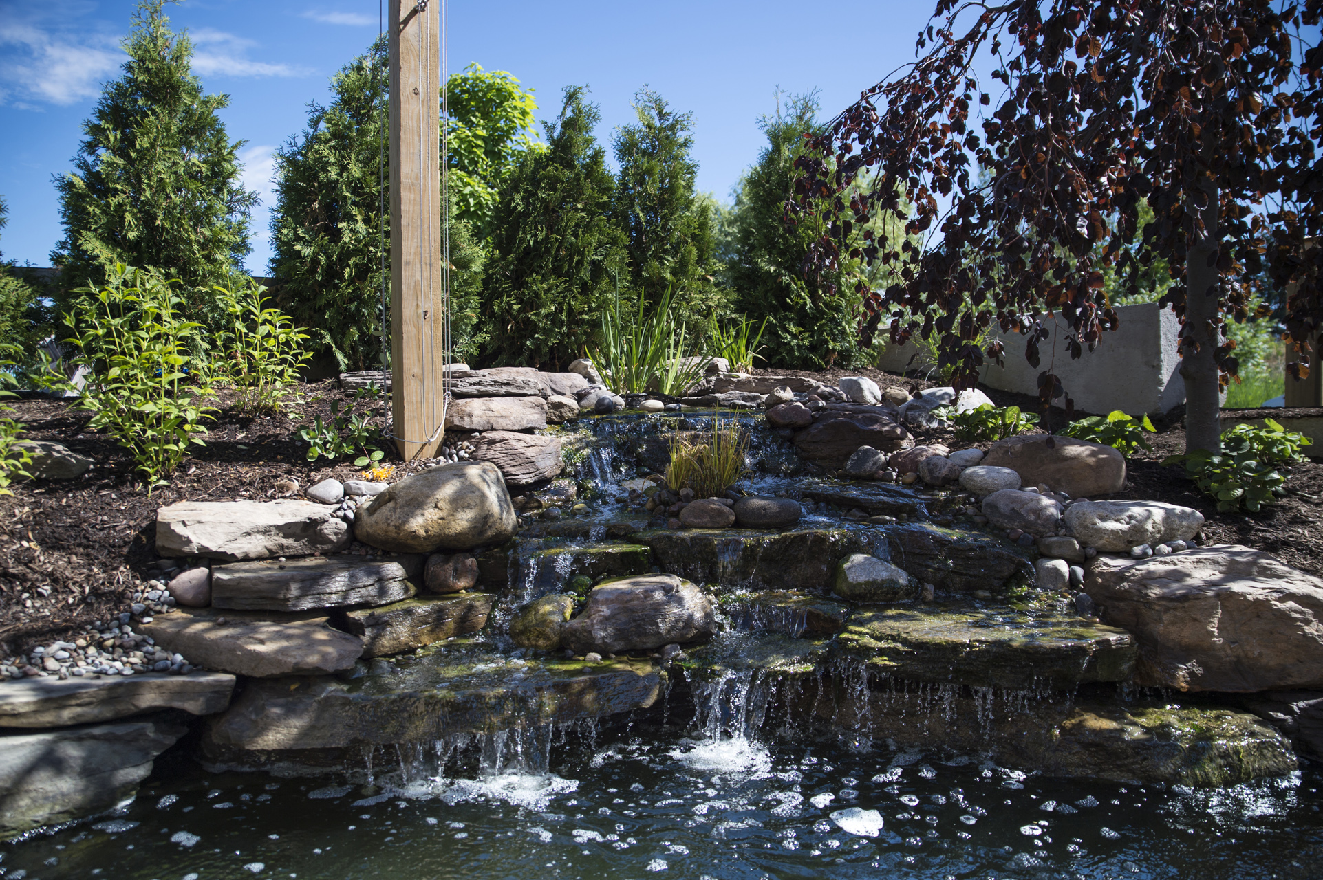 pond stores around me