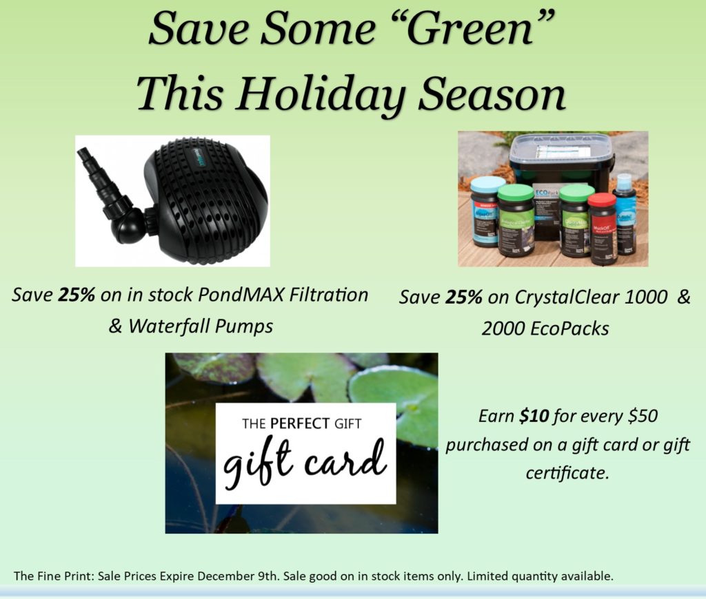 Thanksgiving Sale 2
