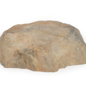 Small Rock Lid
