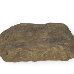 Medium Rock Lid